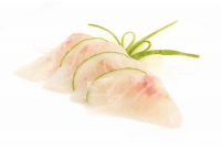 SASHIMI