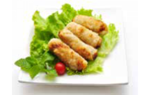 V17 NEMS AU  POULET