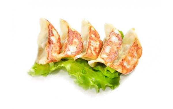 V6 GYOZA